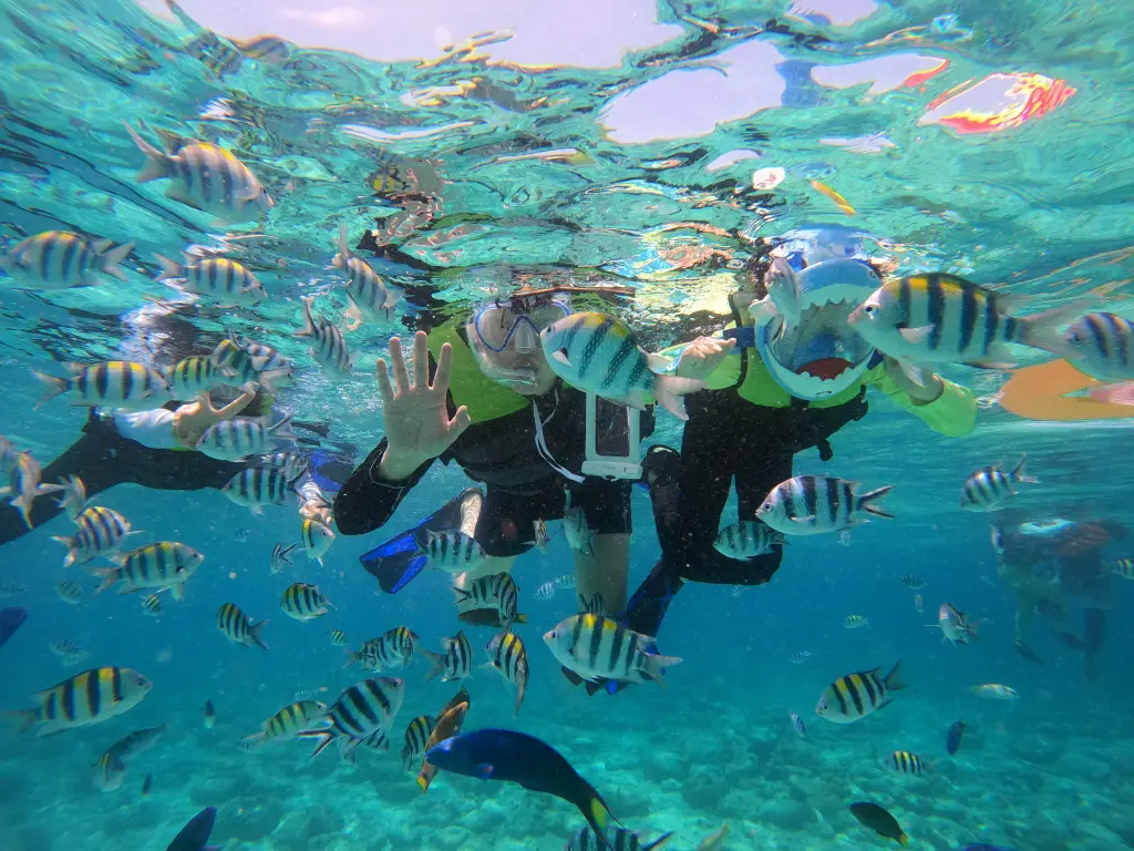 Family enjoying snorkeling with tropical fish in Cebu