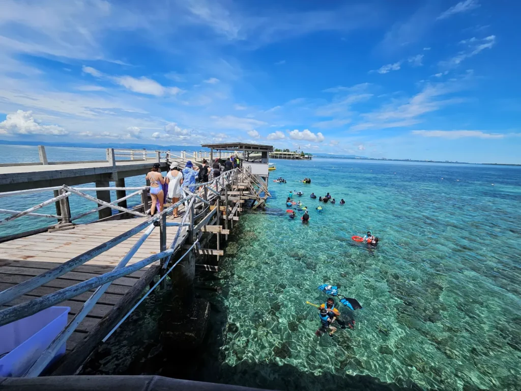 Tourists snorkeling near the pier at Nalusuan Marine Sanctuary