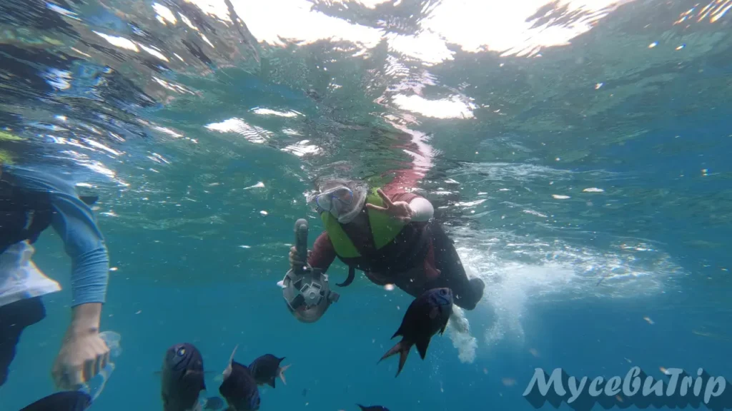 An adult snorkeler making a peace sign underwater surrounded by fish in clear water.