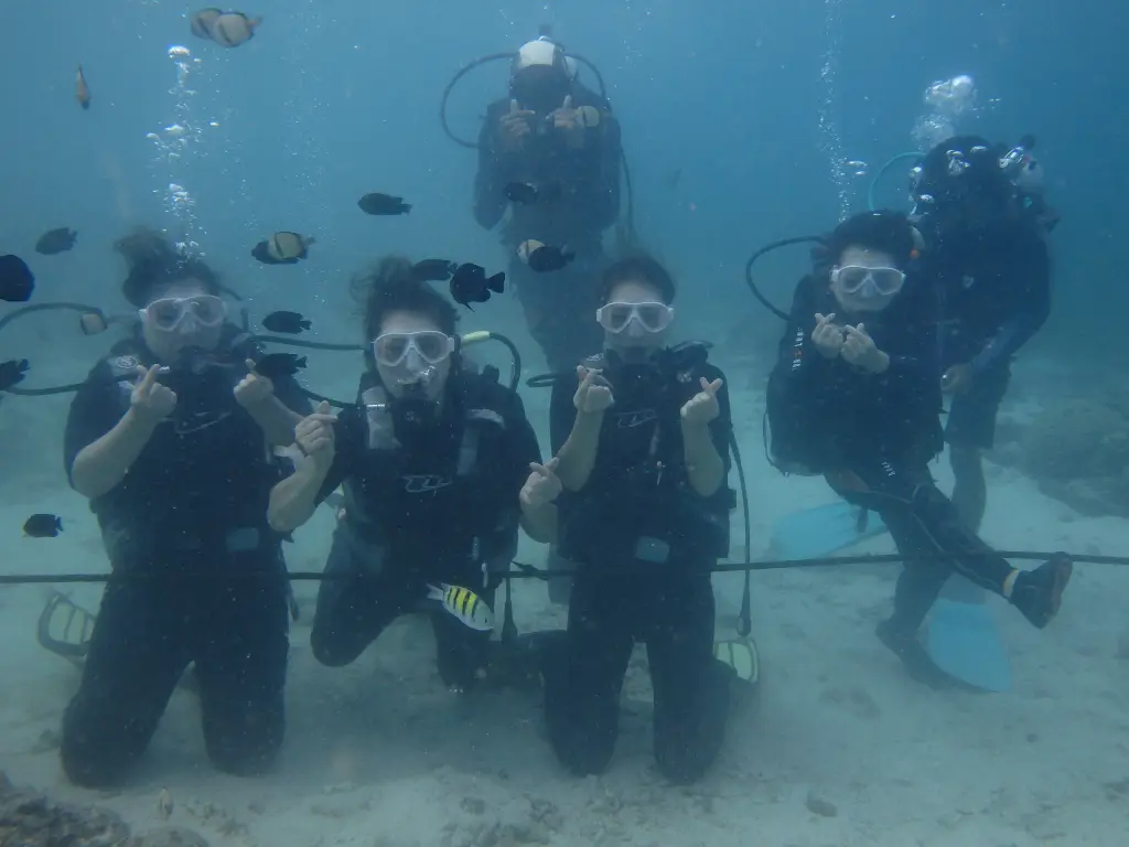Divers making finger heart poses underwater, showing how easy diving is