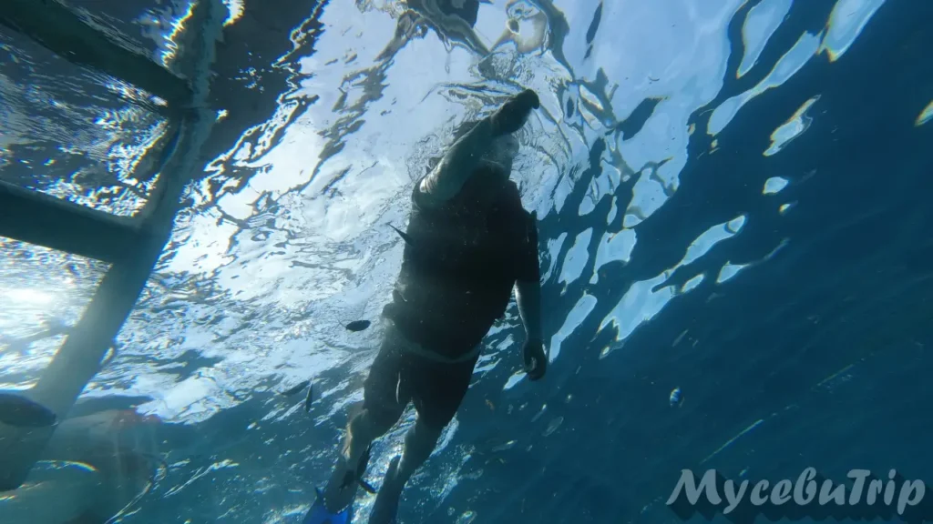 ヒルトゥガンで日差しを浴びるシュノーケラーの水中シルエット