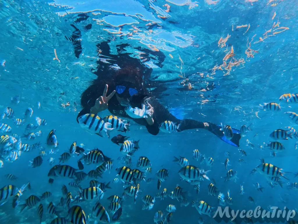 Traveler snorkeling and posing with fish at Olango San Vicente Marine Sanctuary, Cebu