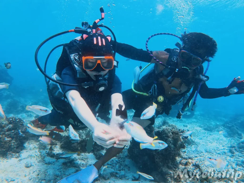 Instructor and diver giving an OK sign during Discover Scuba Diving