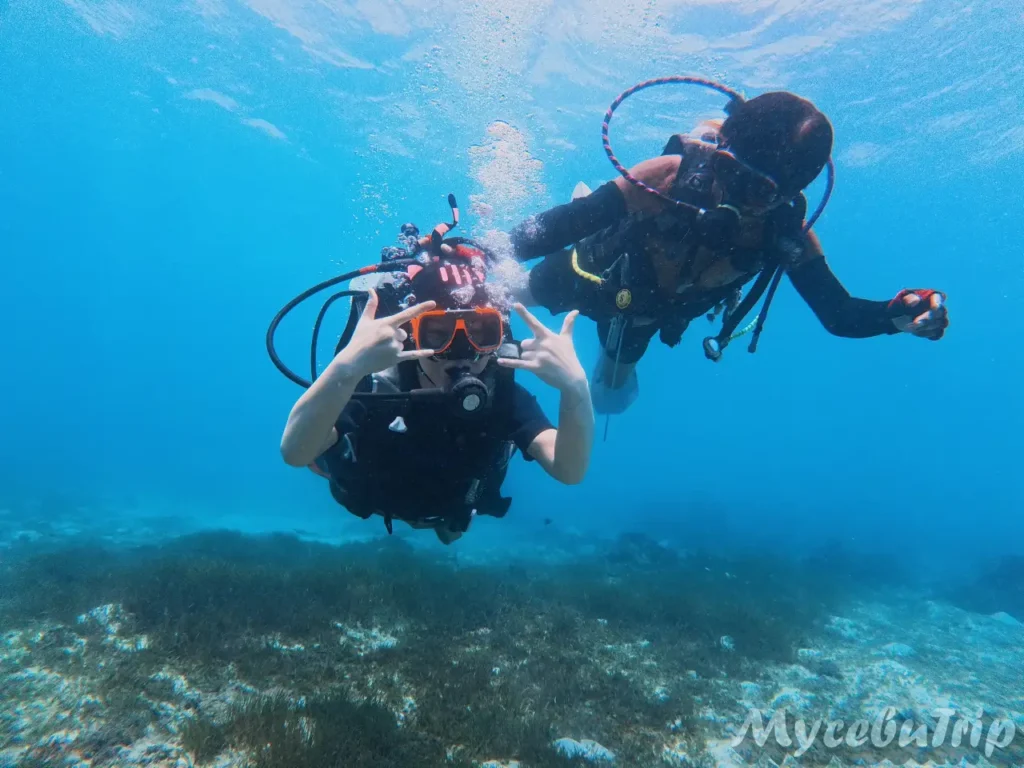 Two divers exploring underwater during Discover Scuba Diving