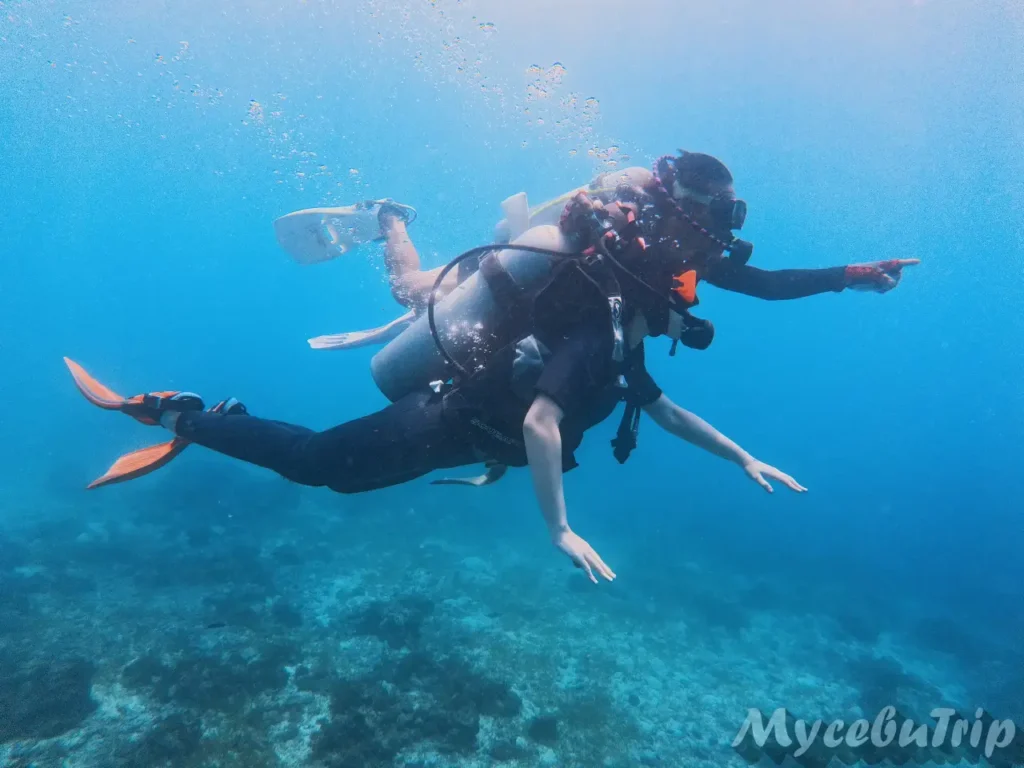 Diver swimming underwater during Discover Scuba Diving in Cebu