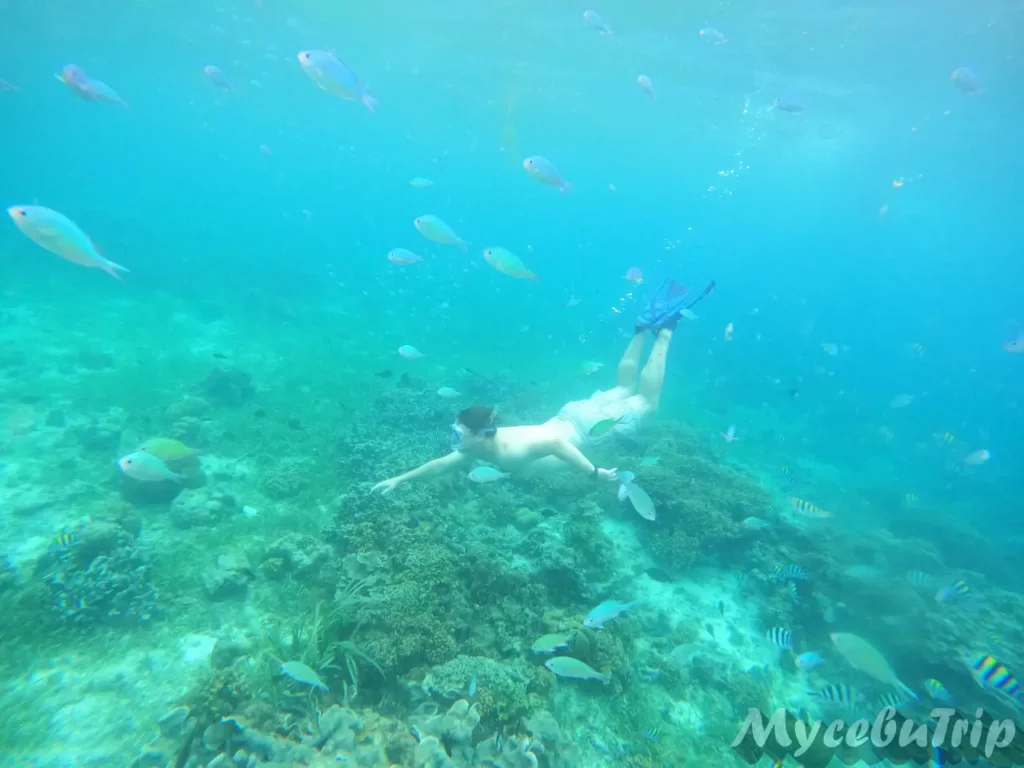 在希鲁通甘海洋保护区浮潜的匈牙利游客