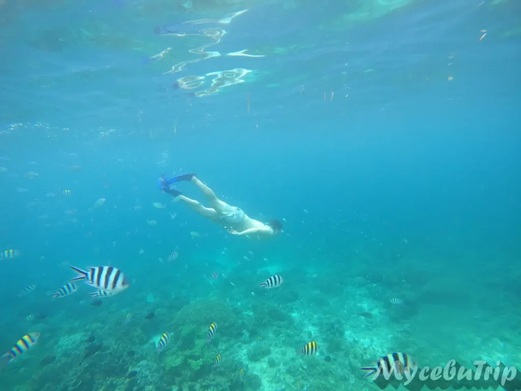 在水较深的希鲁通甘海洋保护区浮潜